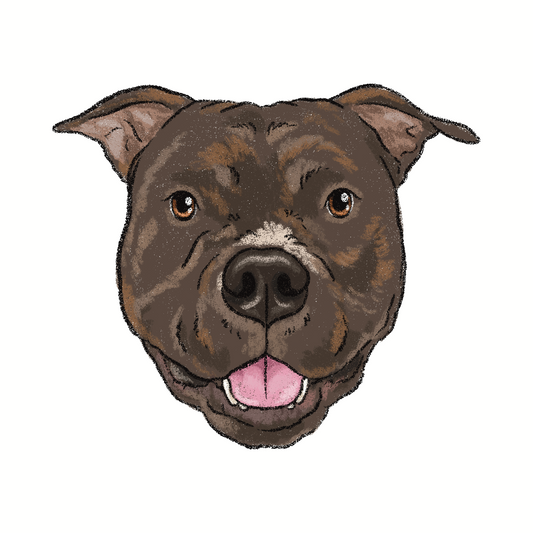 Classic Crayon Face Portrait