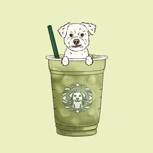 Iced Matcha Latte Cartoon
