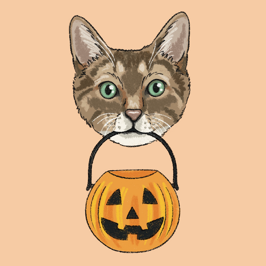 Pumpkin Crayon Face Portrait