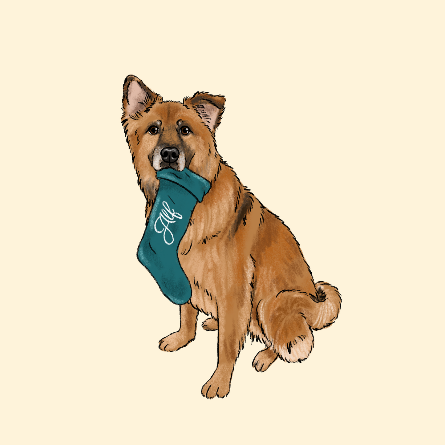 Pet Holding Stocking Cartoon