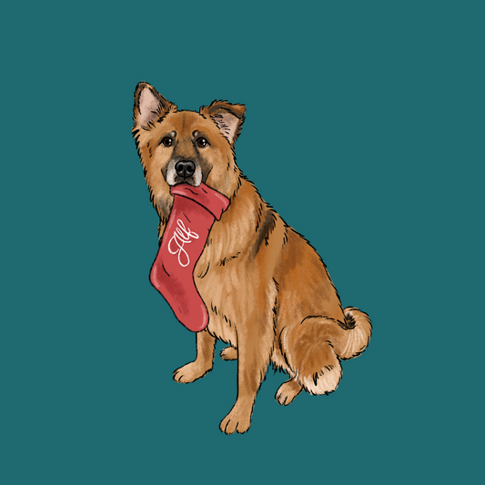 Pet Holding Stocking Cartoon