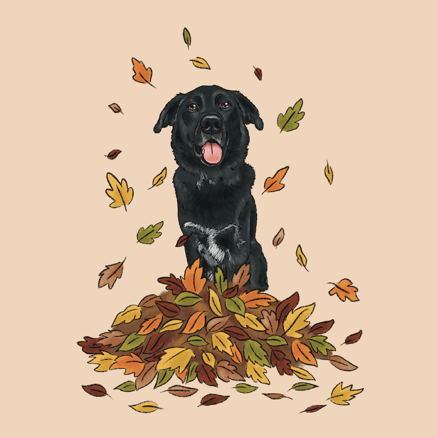 Leaves Pile Cartoon