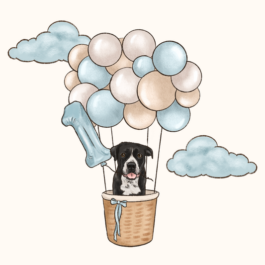 Hot Air Balloon Cartoon