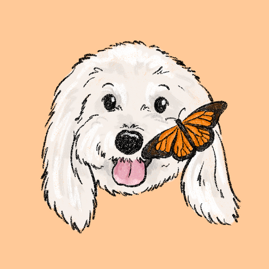 Butterfly Crayon Face Portrait