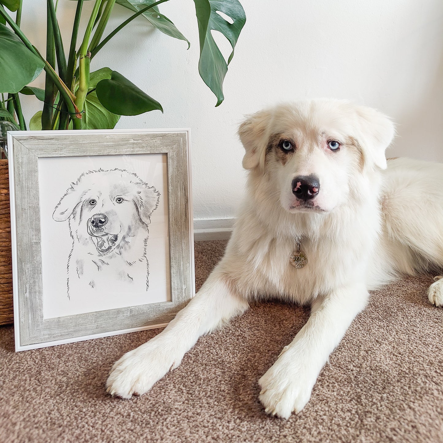 Sketch Pet Painting