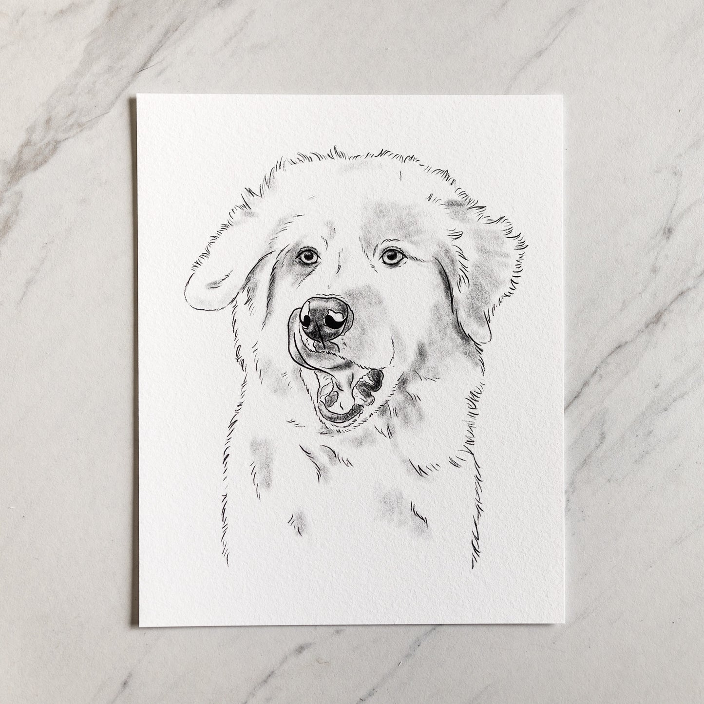 Sketch Pet Painting