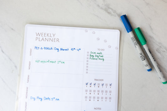 Thin Non Permanent Markers