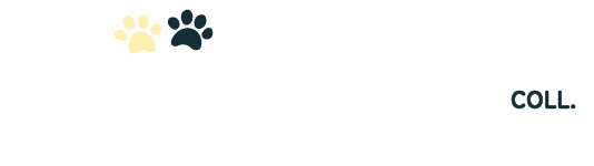 Bear Maggie Collection