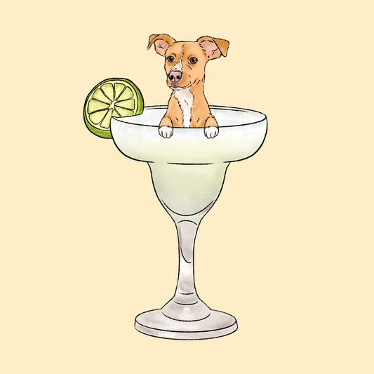 Margarita Cartoon