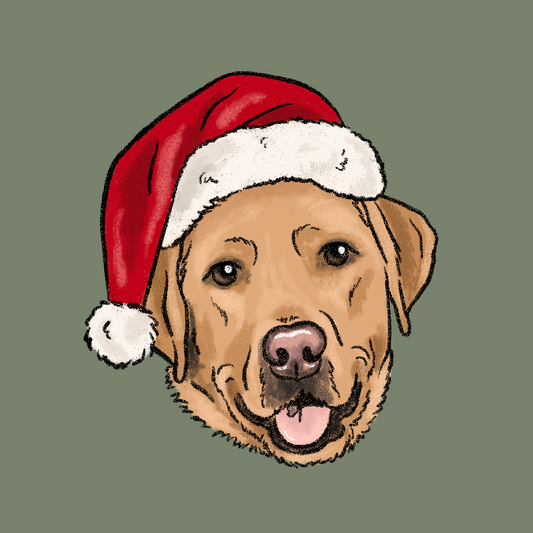 Santa Hat Crayon