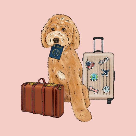 Travel Cartoon Portrait