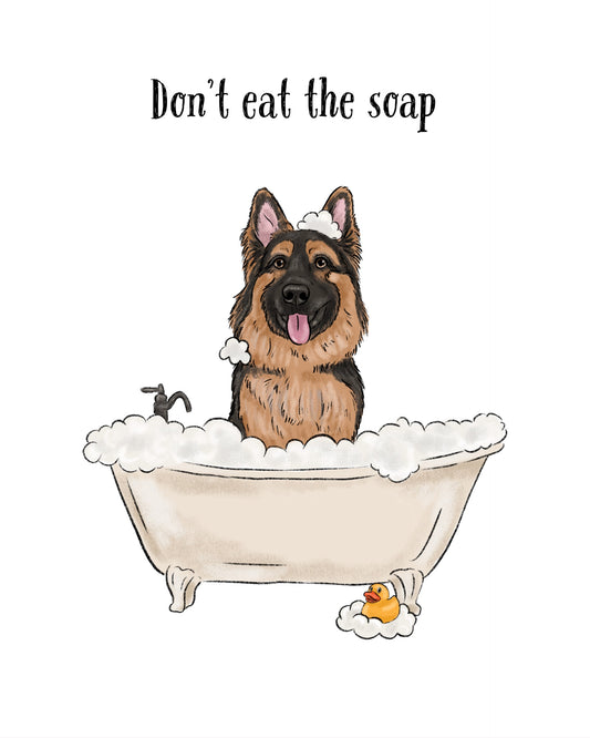 Don't Eat the Soap Cartoon