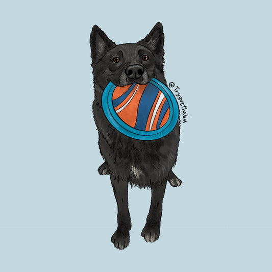 Frisbee Cartoon